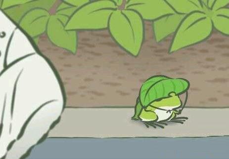 APP運(yùn)營(yíng)