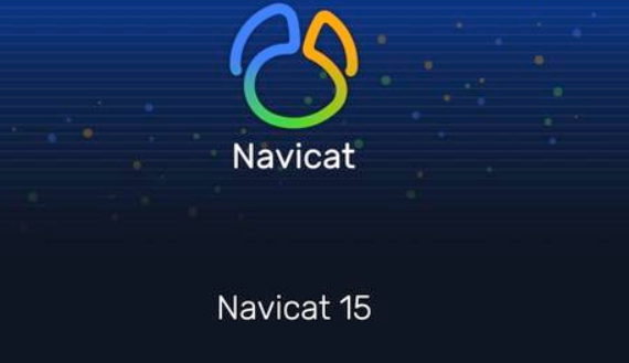 Navicat Premium 數(shù)據(jù)庫(kù)開發(fā)工具